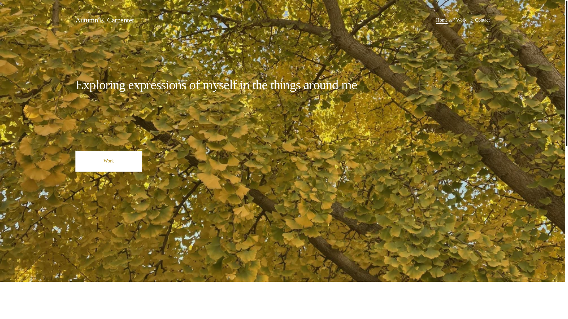 website screenshot of https://autumnecarpenter.com/