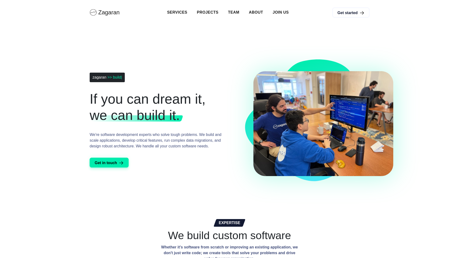 website screenshot of https://tryzagaransoftware.com/