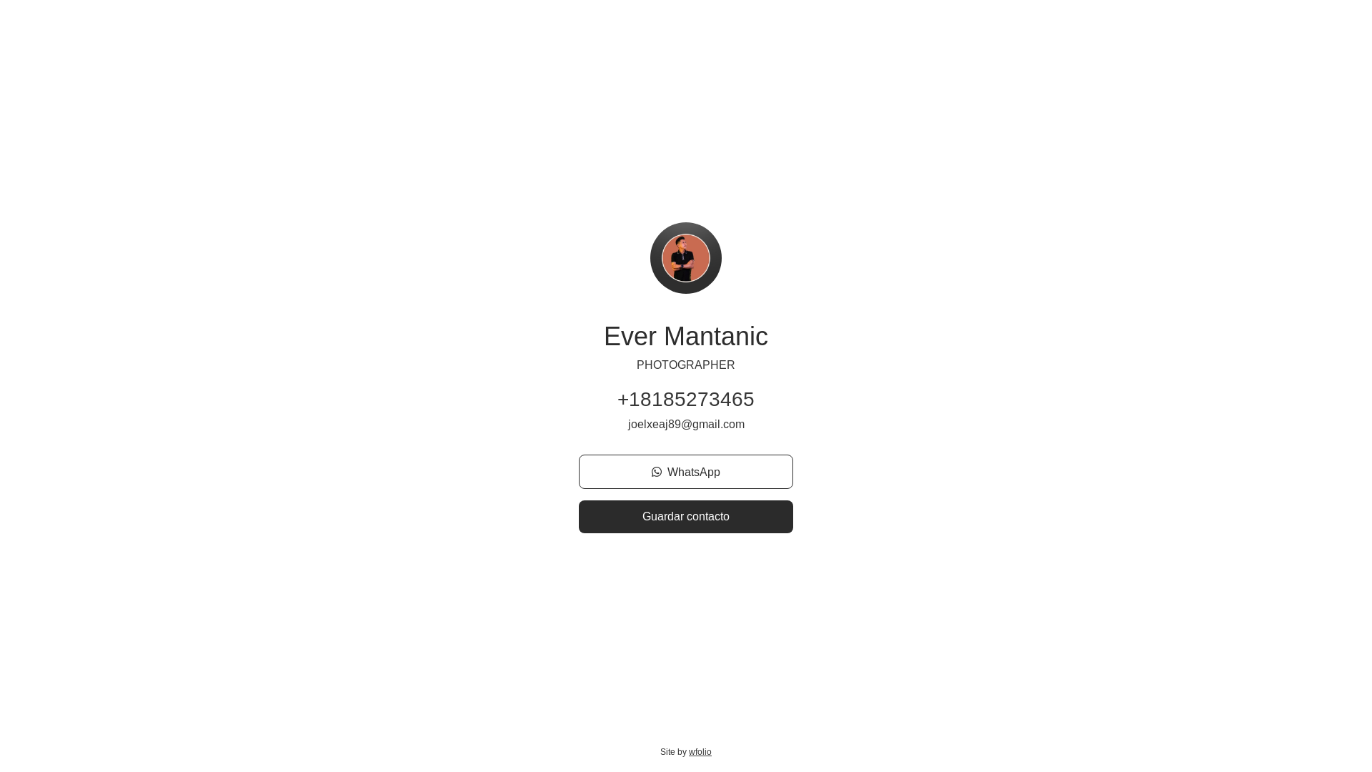 website screenshot of https://mantanicvisual.com/