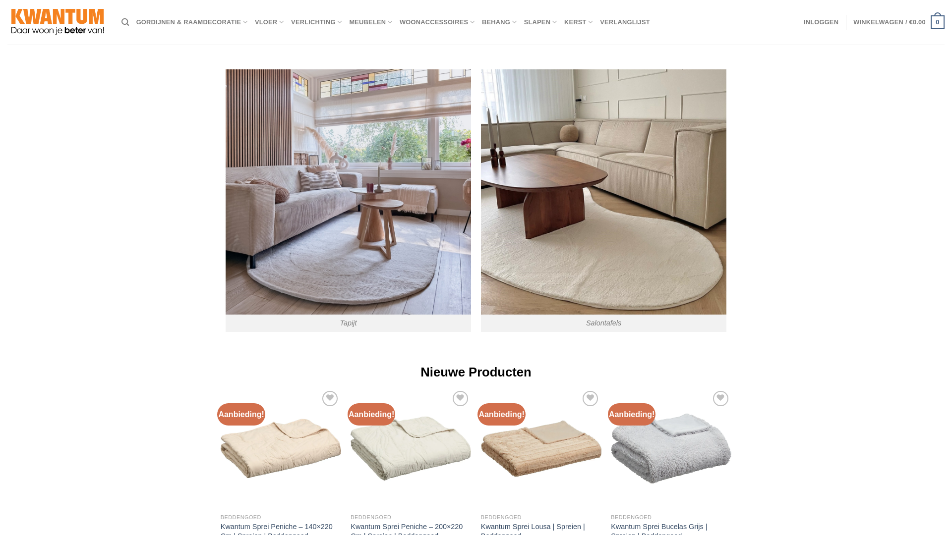 website screenshot of https://modernehomeshop.com/