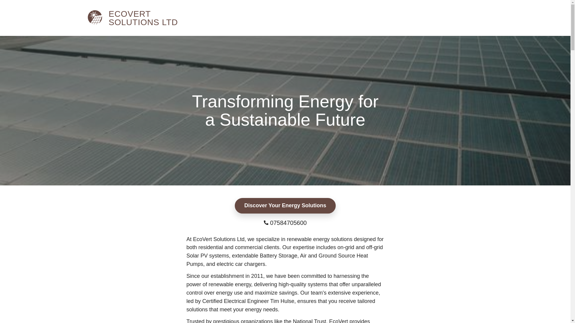 website screenshot of https://ecovertsol.com/