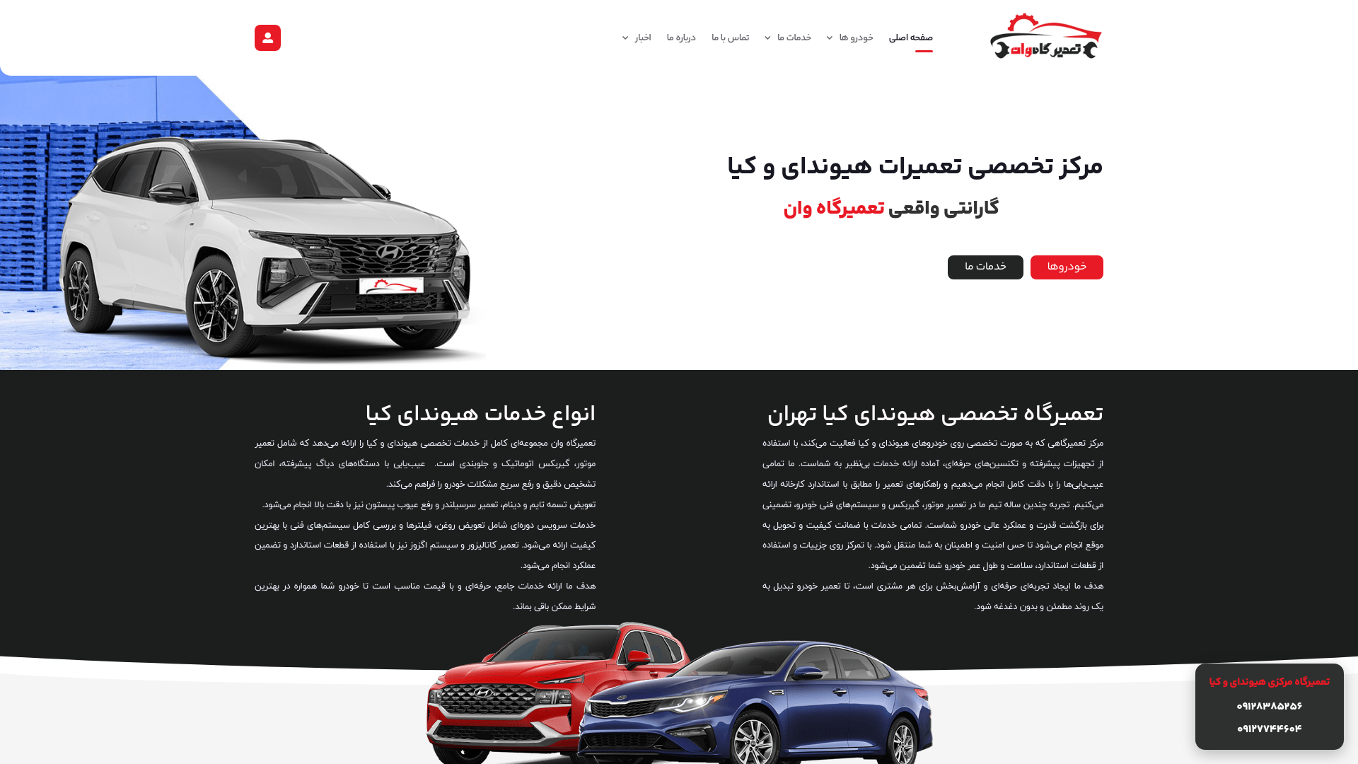 website screenshot of https://tamirgahone.com/