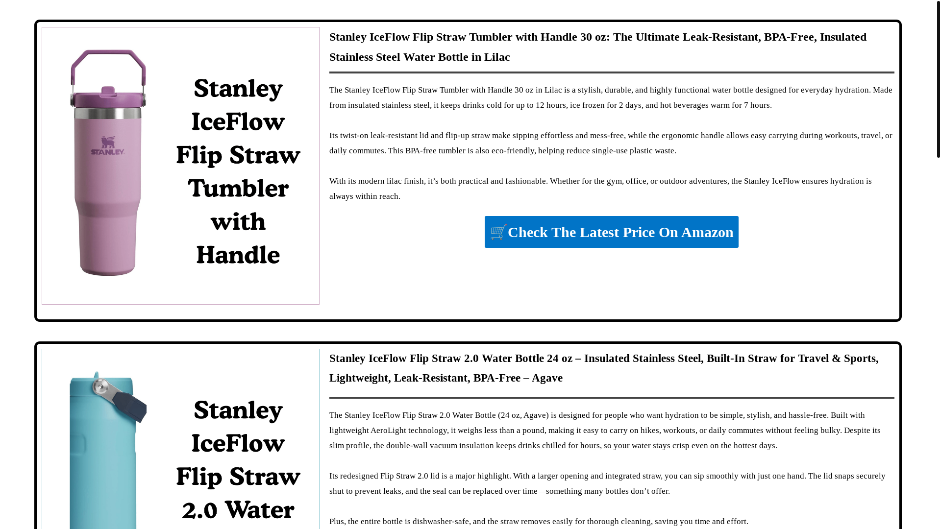 website screenshot of https://stanleyy.us/