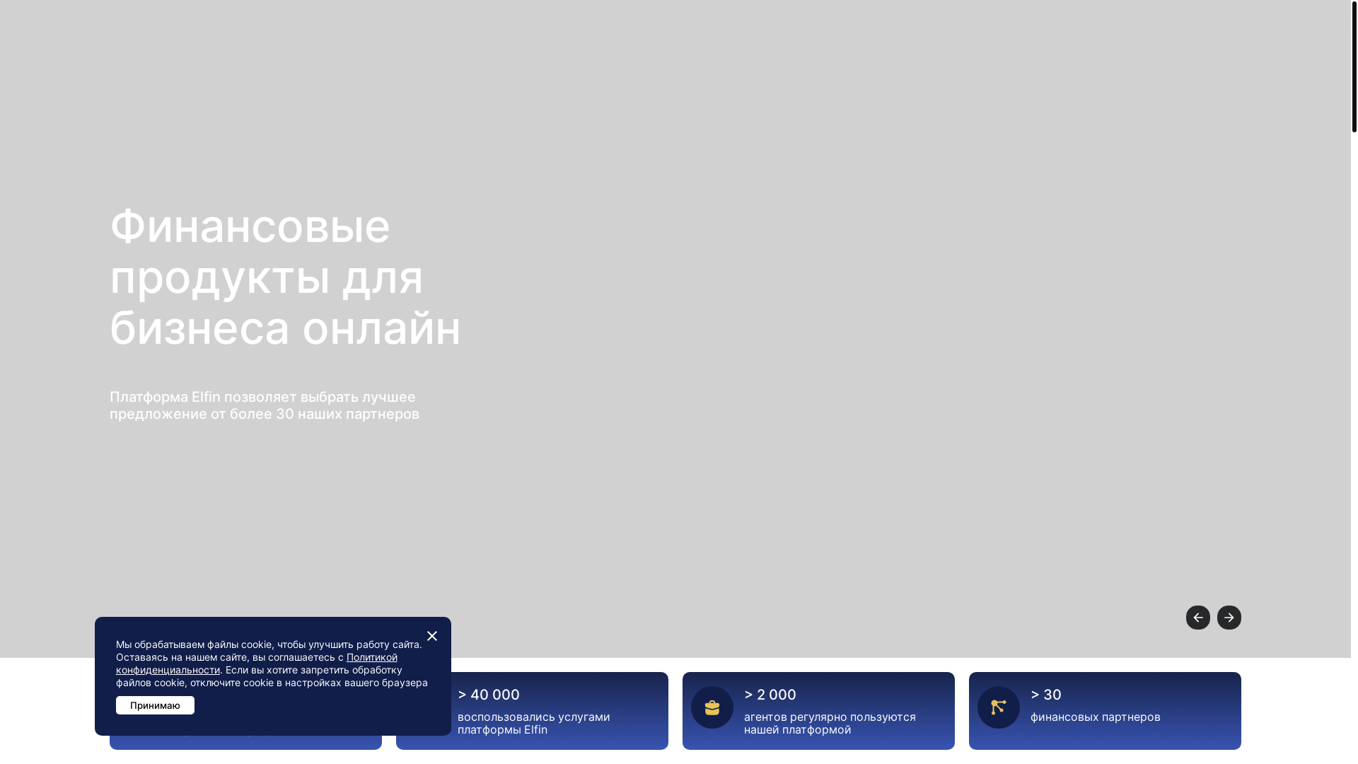 website screenshot of https://elfin.tech
