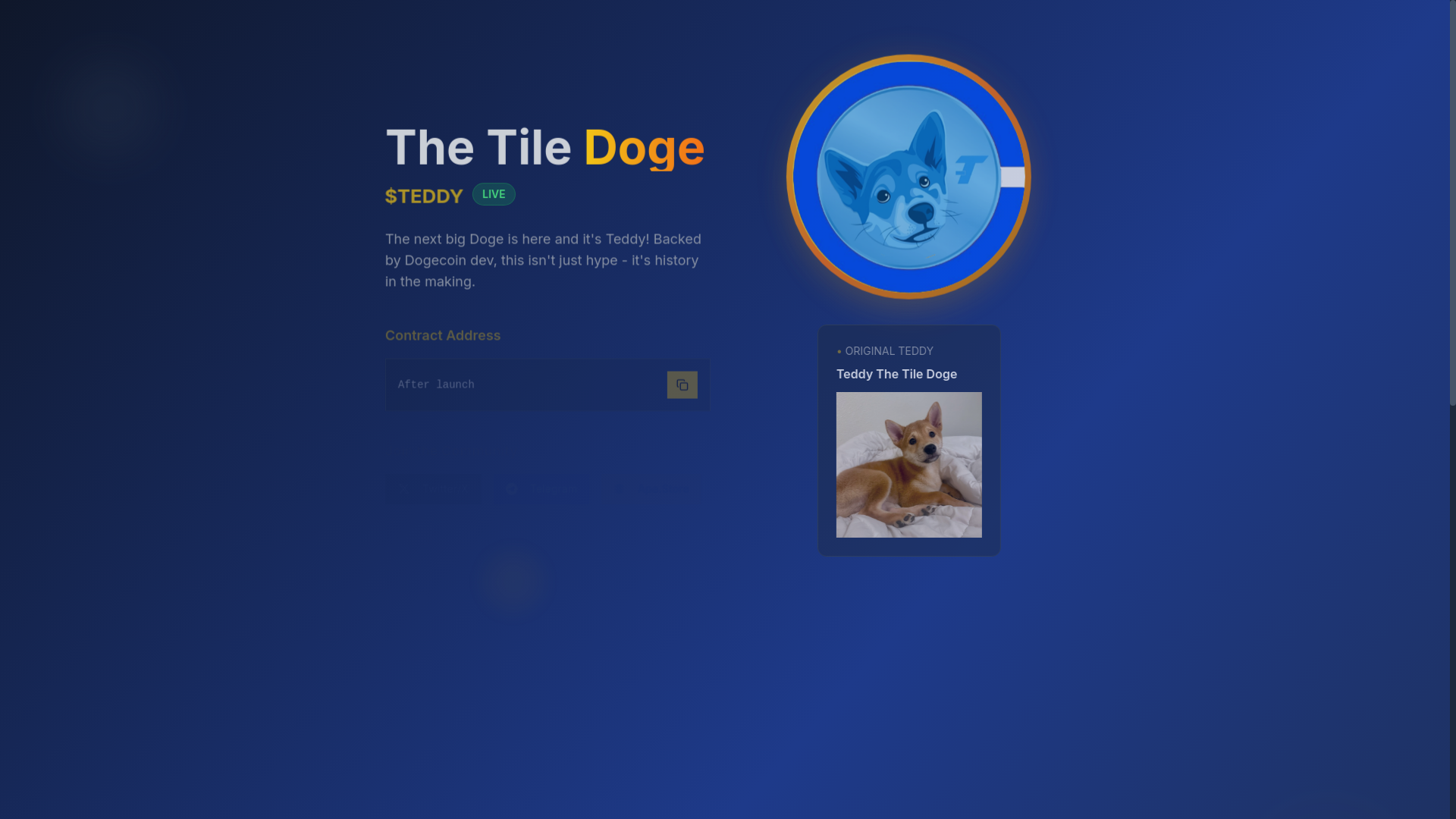 website screenshot of https://teddycoinbase.xyz/