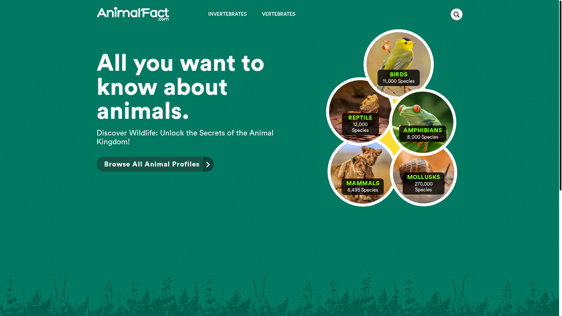 website screenshot of https://animalfact.com/