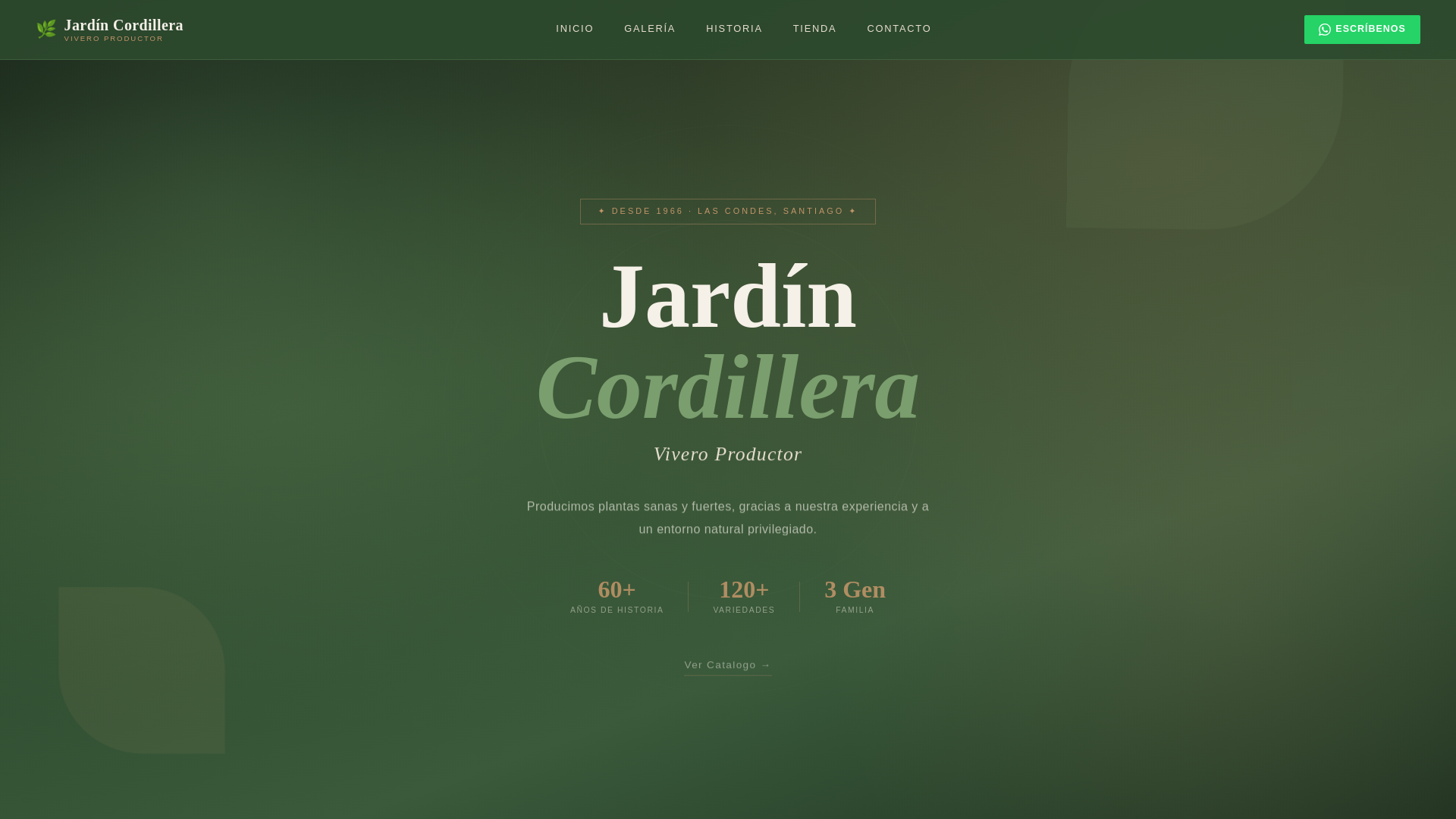 website screenshot of https://jardincordillera.cl/