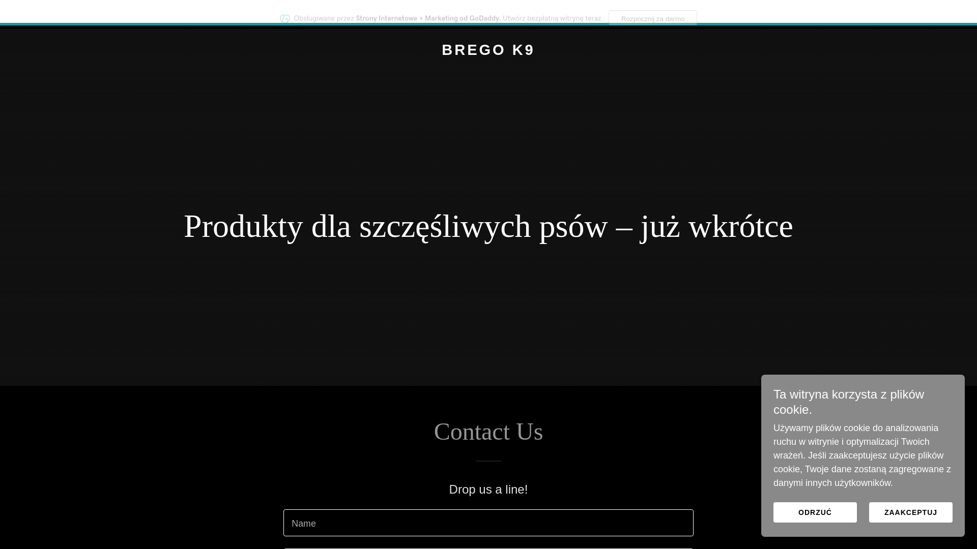 website screenshot of https://bregok9.com/