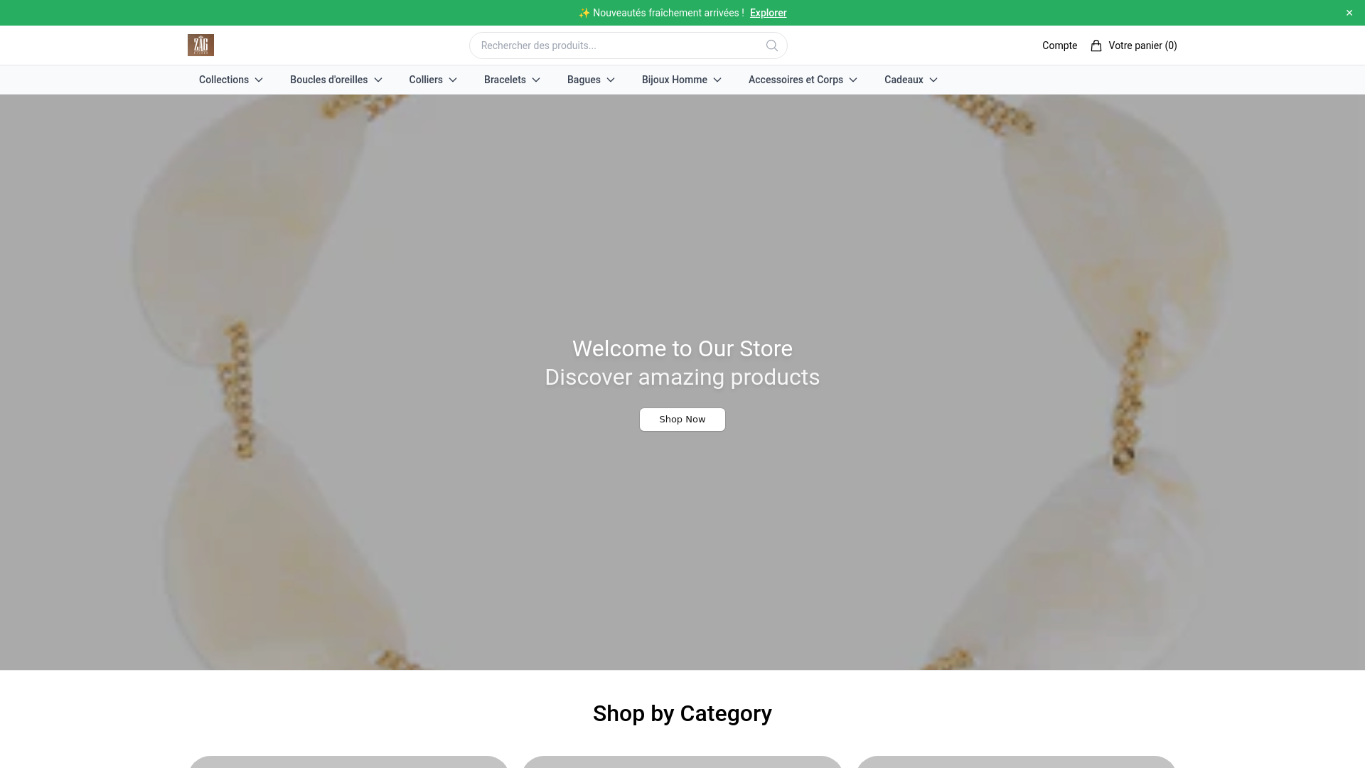 website screenshot of https://zagbijouxparishq.shop/