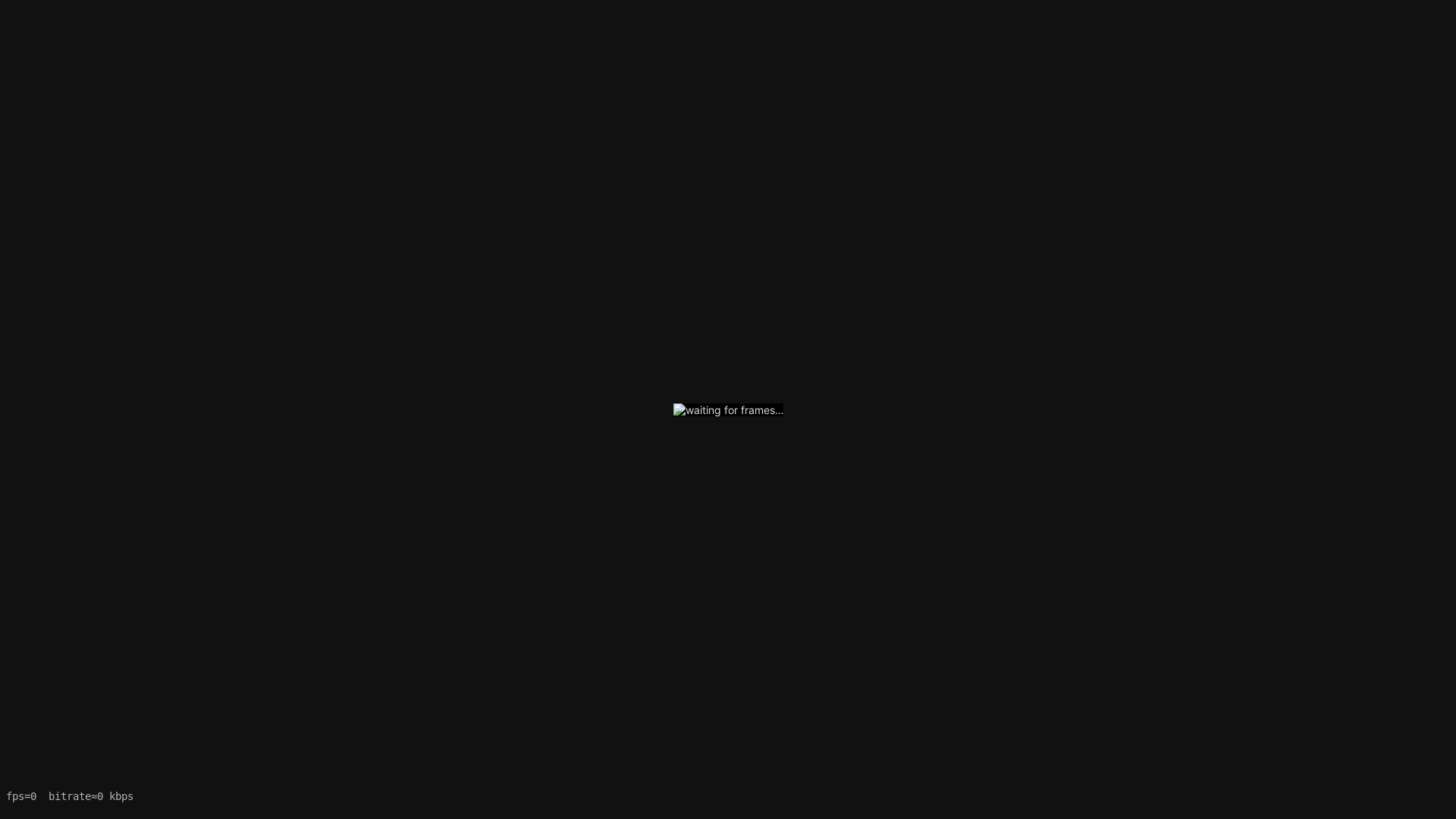 website screenshot of https://screencast-viewer.pages.dev/