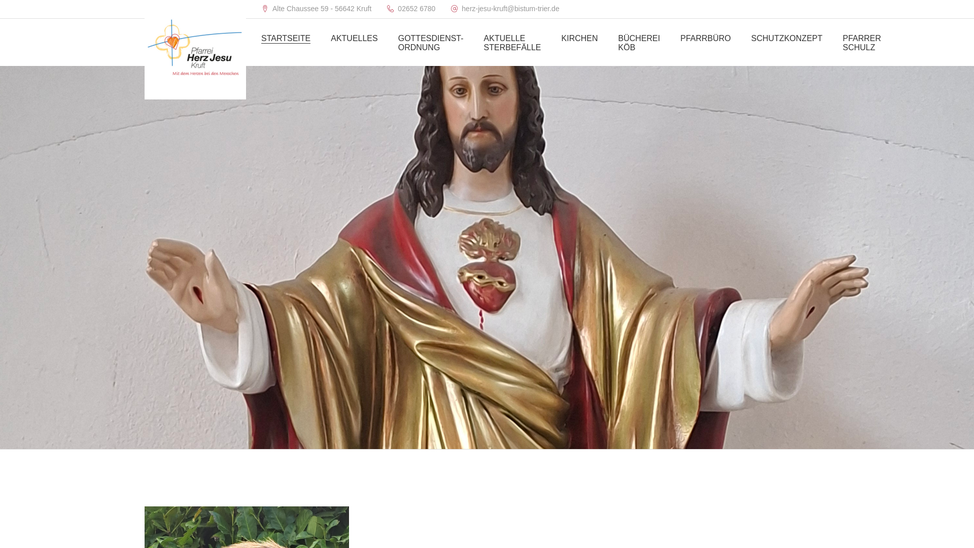 website screenshot of https://herz-jesu-kruft.de
