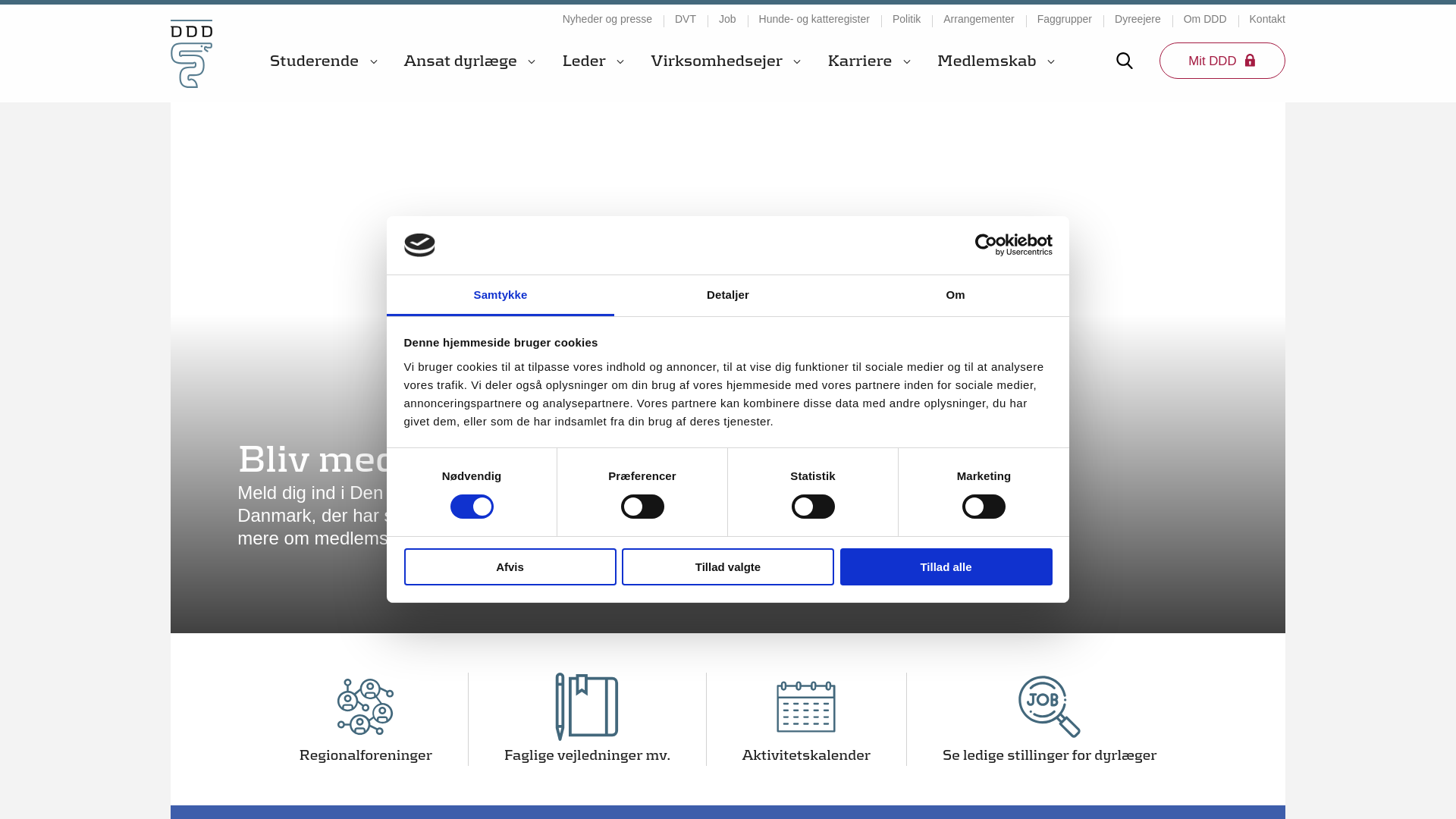 website screenshot of https://dddberetning.dk