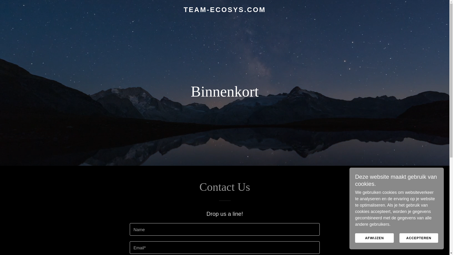 website screenshot of https://team-ecosys.com/