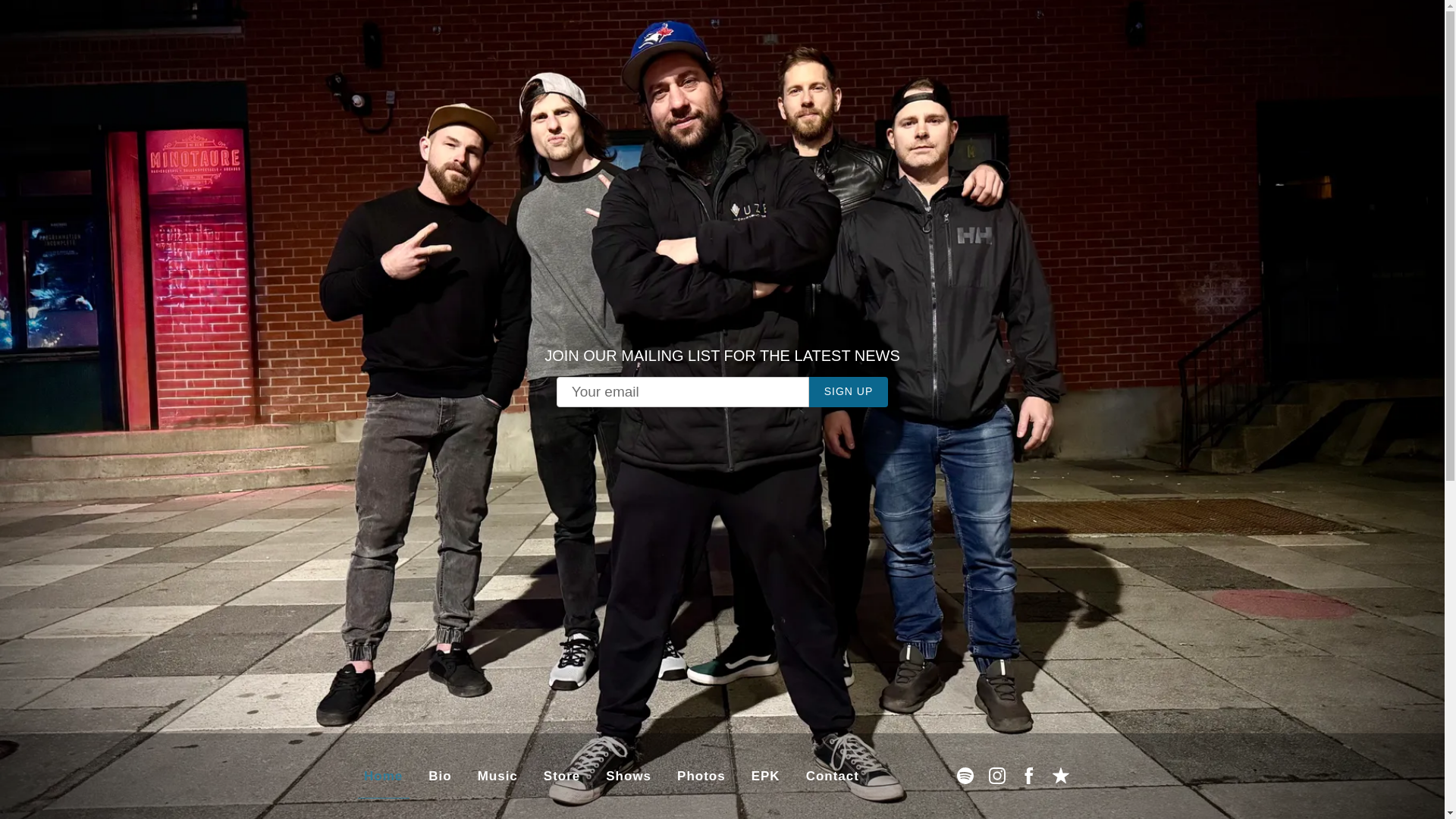 website screenshot of https://thisdisasterofficial.com/
