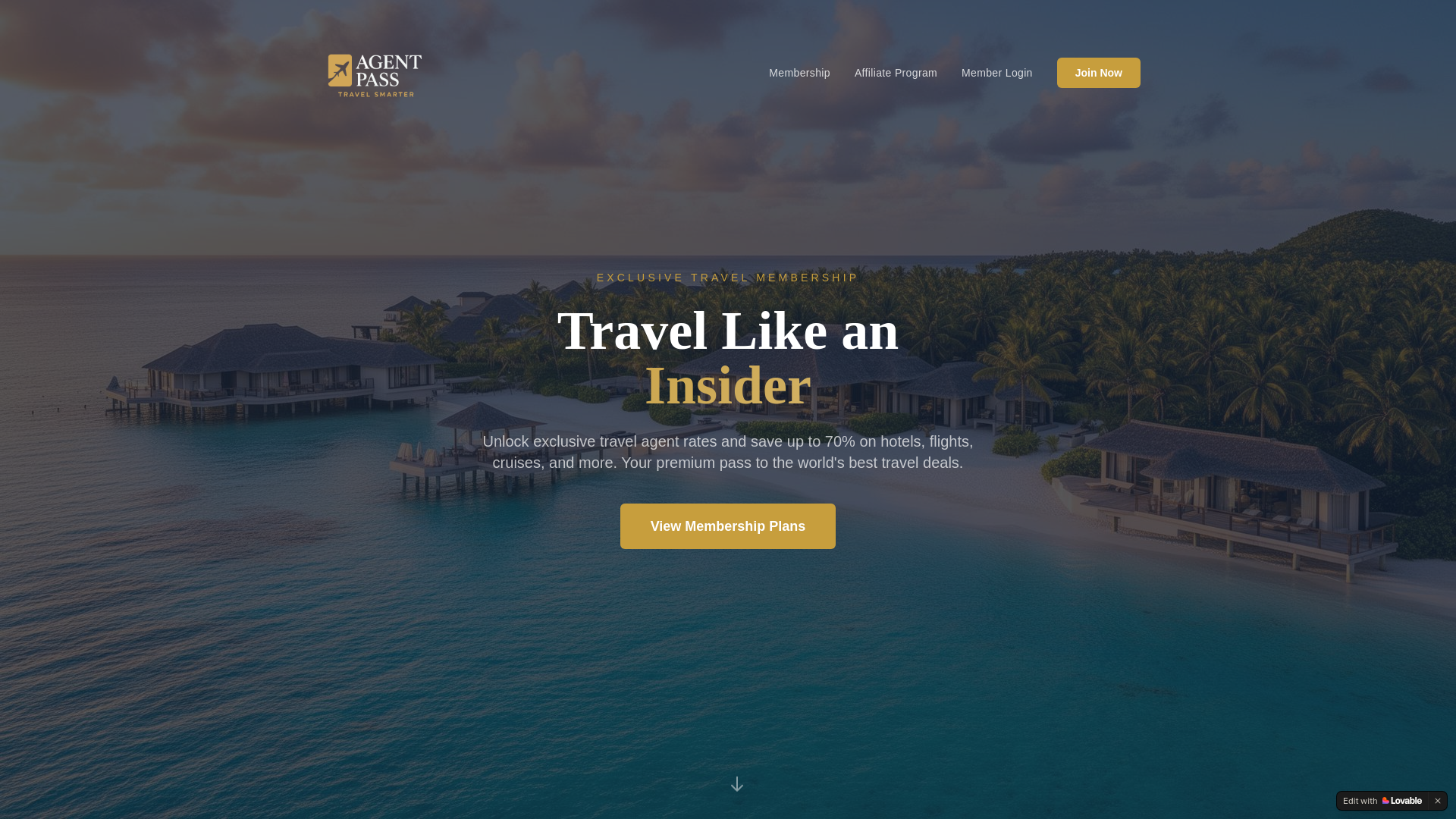 website screenshot of https://agentpass.vip/