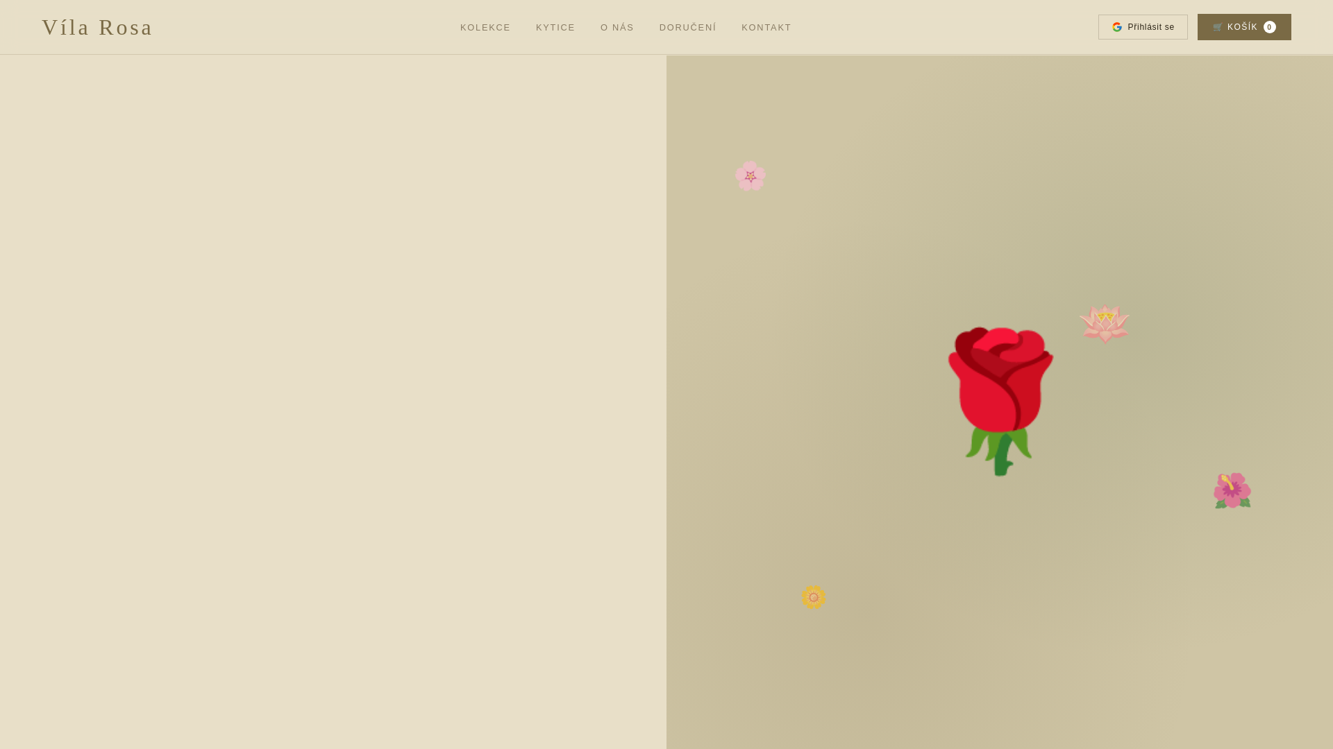 website screenshot of https://vilarosa.cz/