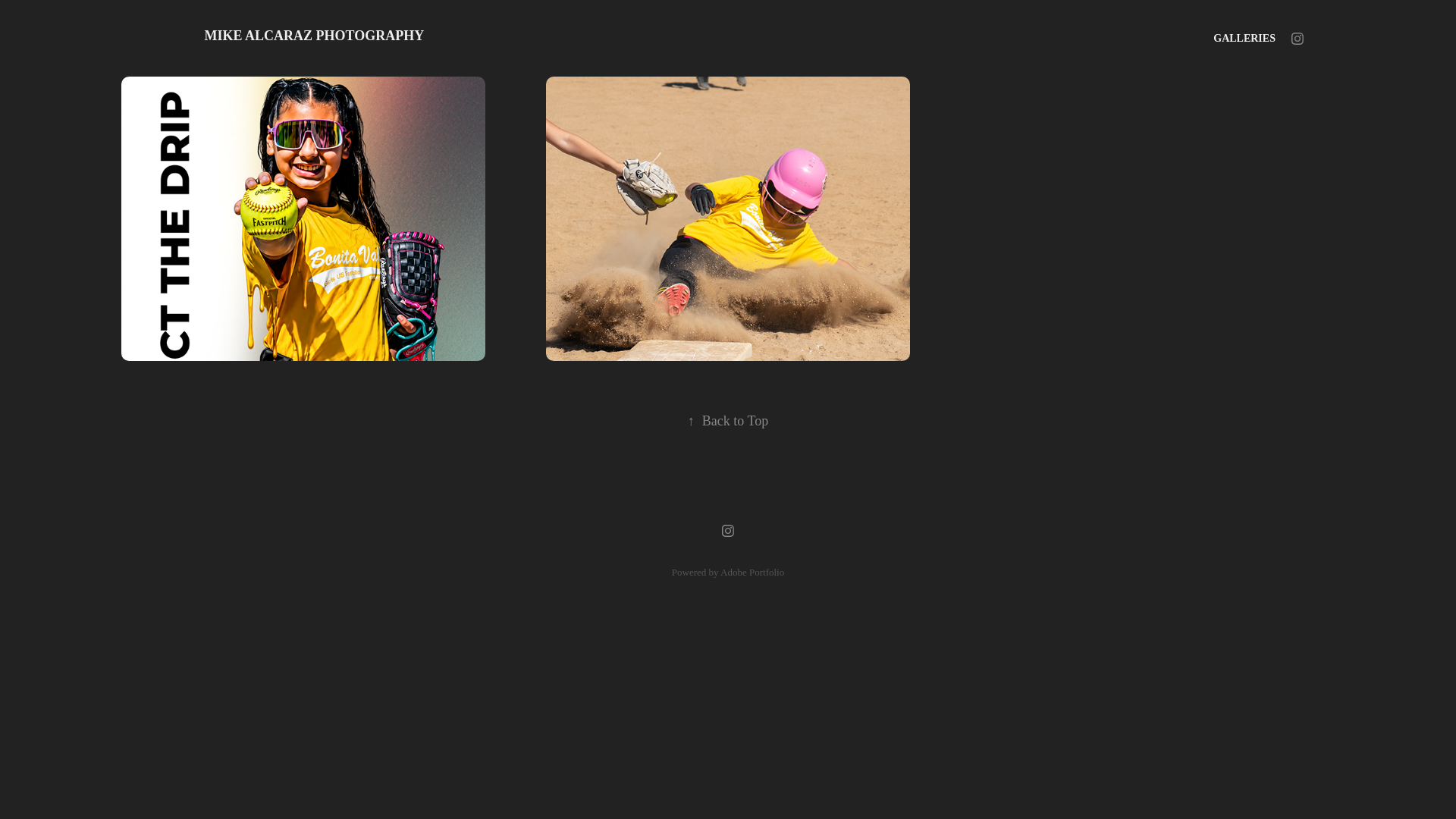 website screenshot of https://mikealcaraz.com/