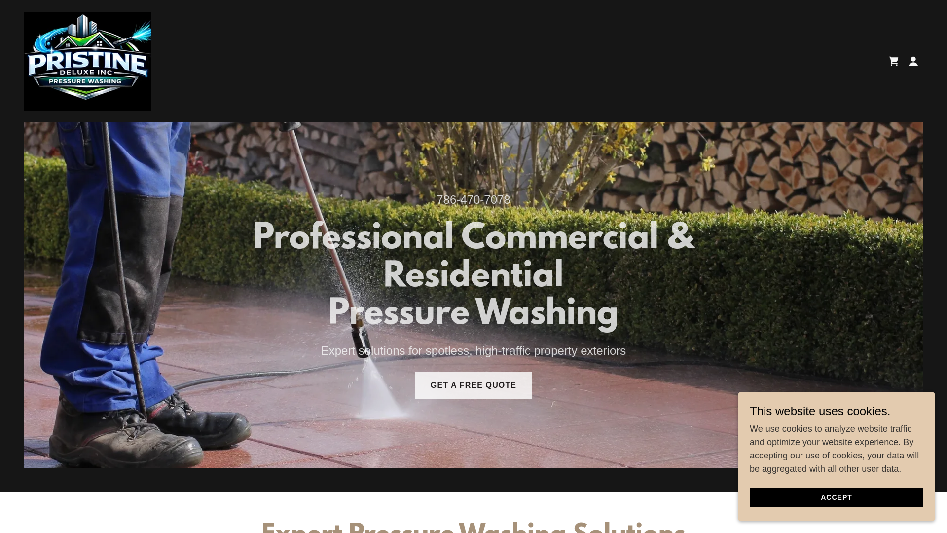 website screenshot of https://pristinedeluxewash.com