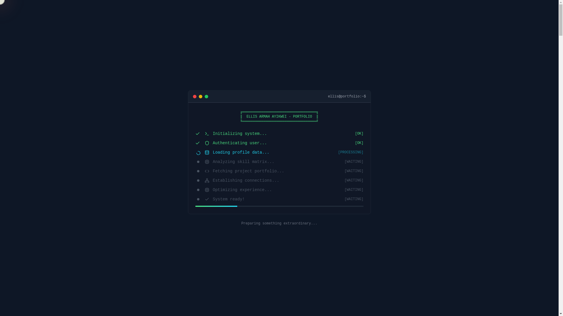 website screenshot of https://ellisarmahayikwei.online/