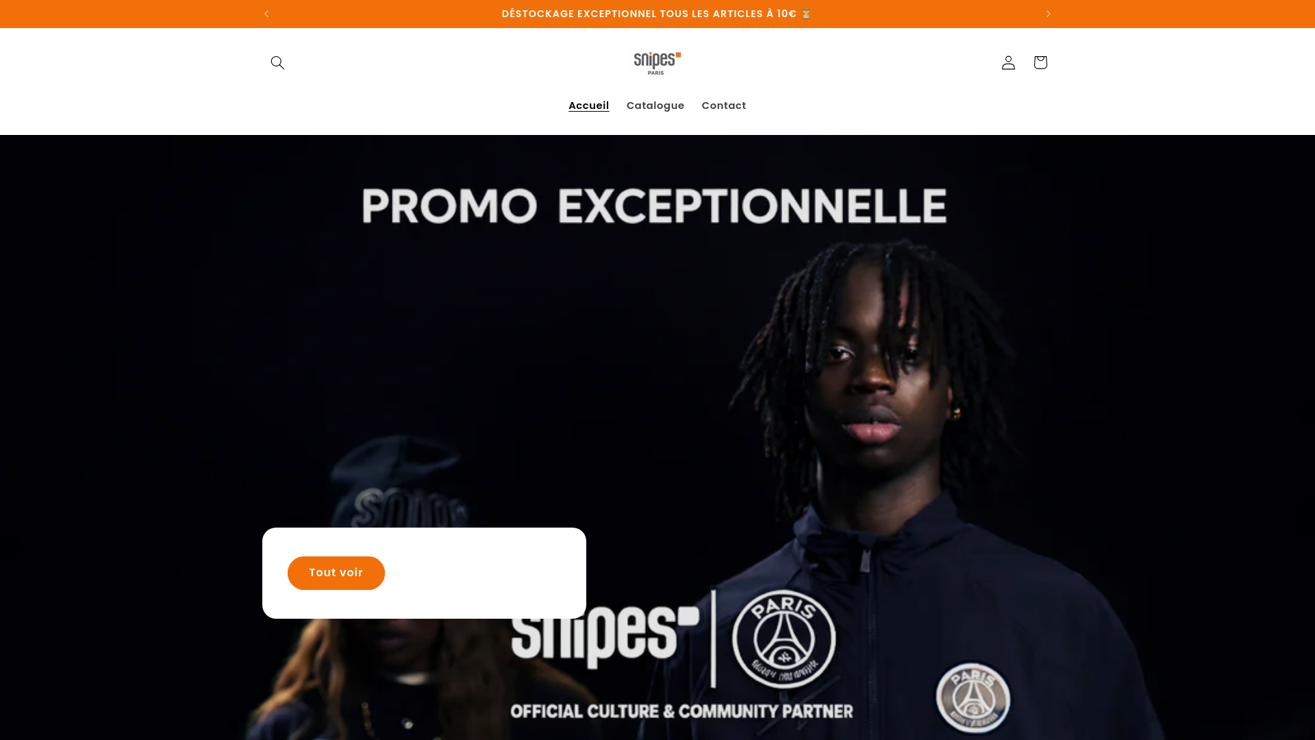 website screenshot of https://snipes-outlet.fr/