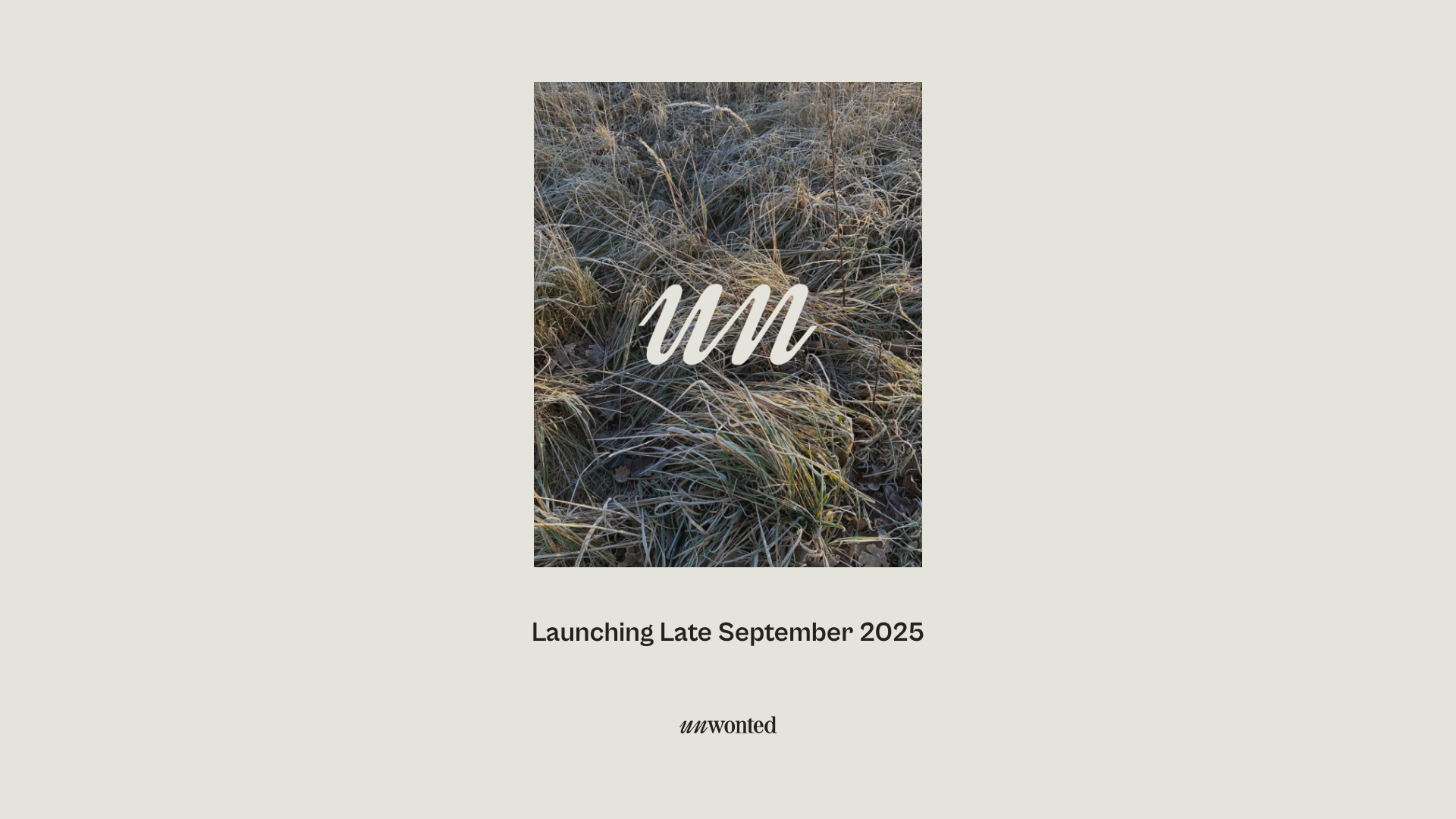 website screenshot of https://unwonted.pages.dev/