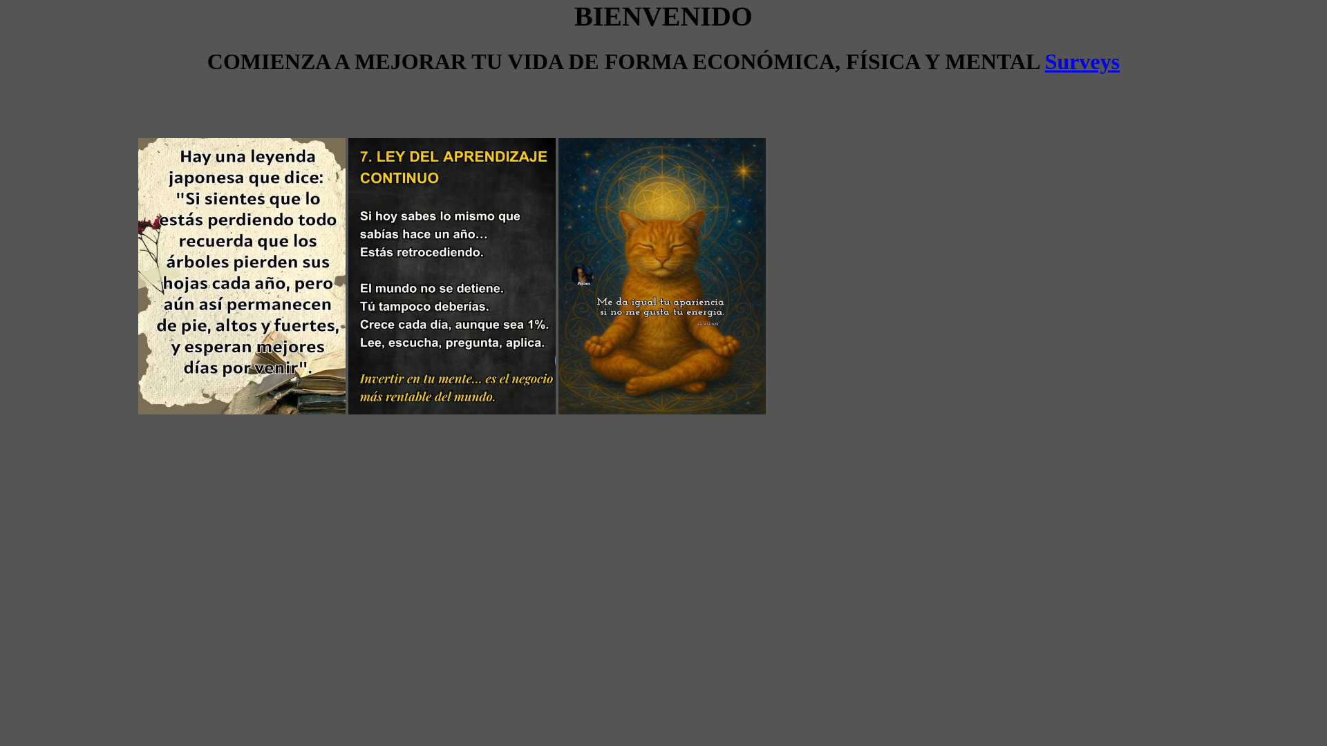 website screenshot of https://forallovertheworld.com/