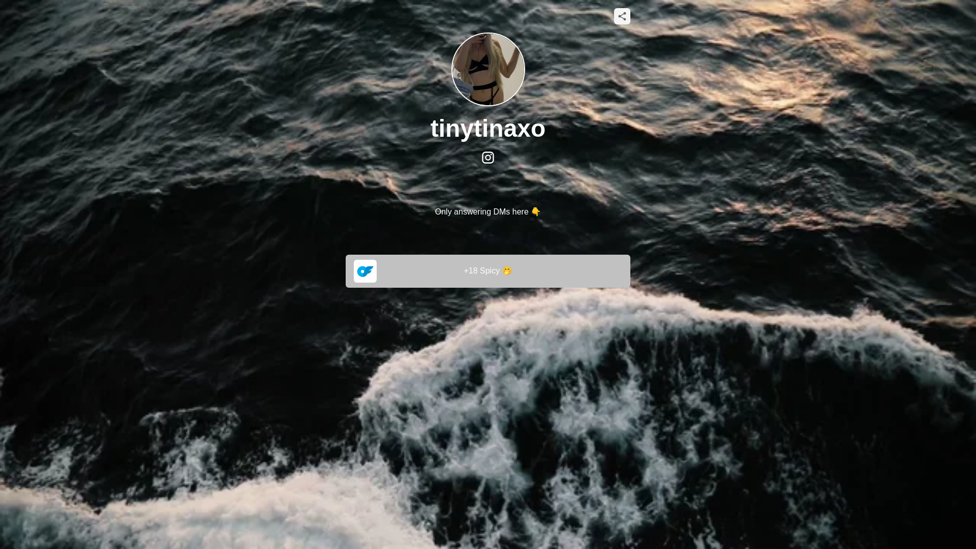 website screenshot of https://tinytinaxo.com/