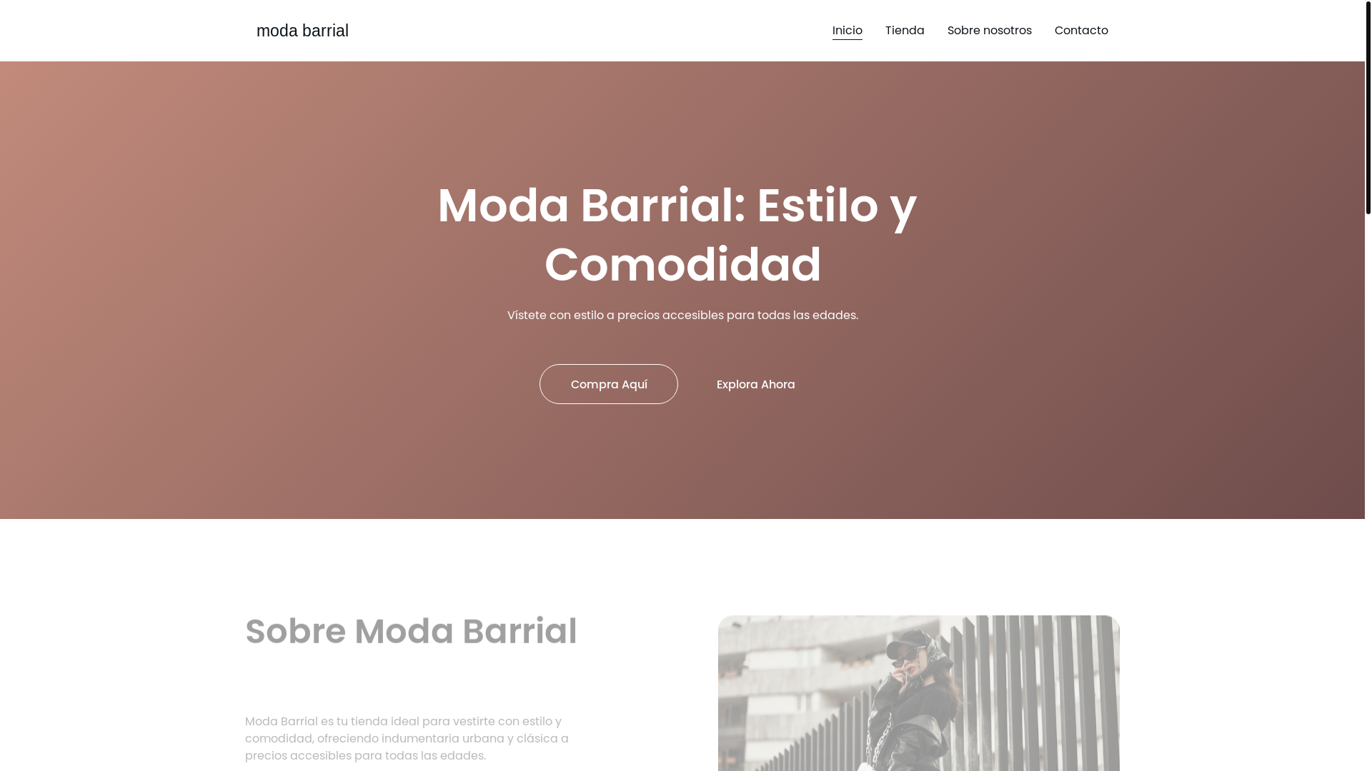 website screenshot of https://modabarrial.fun/