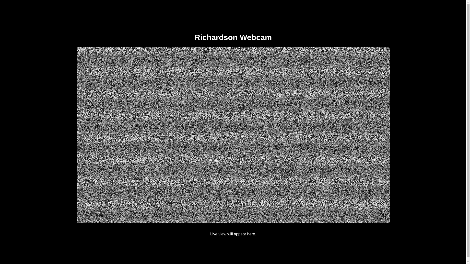 website screenshot of https://richardson.webcam/
