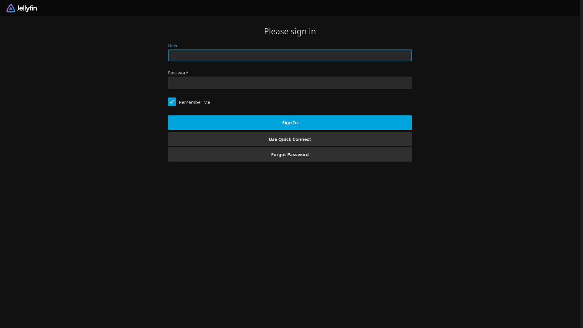 website screenshot of https://jay-server.de/