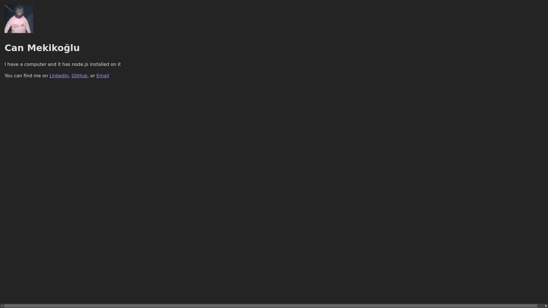 website screenshot of https://canmekikoglu-com.pages.dev/