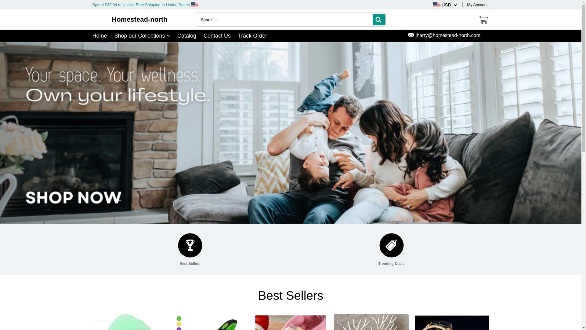 website screenshot of https://homestead-north.com/