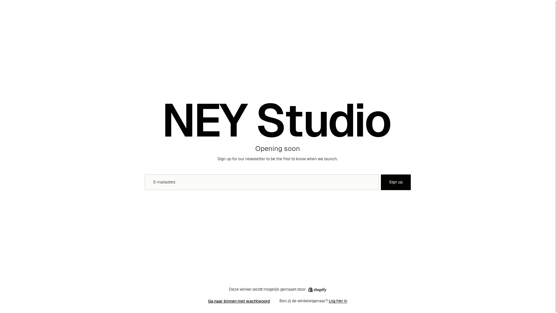 website screenshot of https://neystudio.nl/