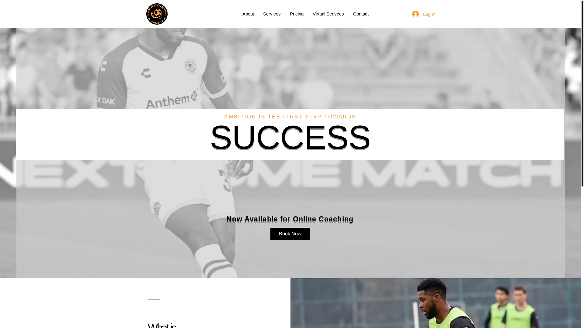website screenshot of https://prodigyselect.com/