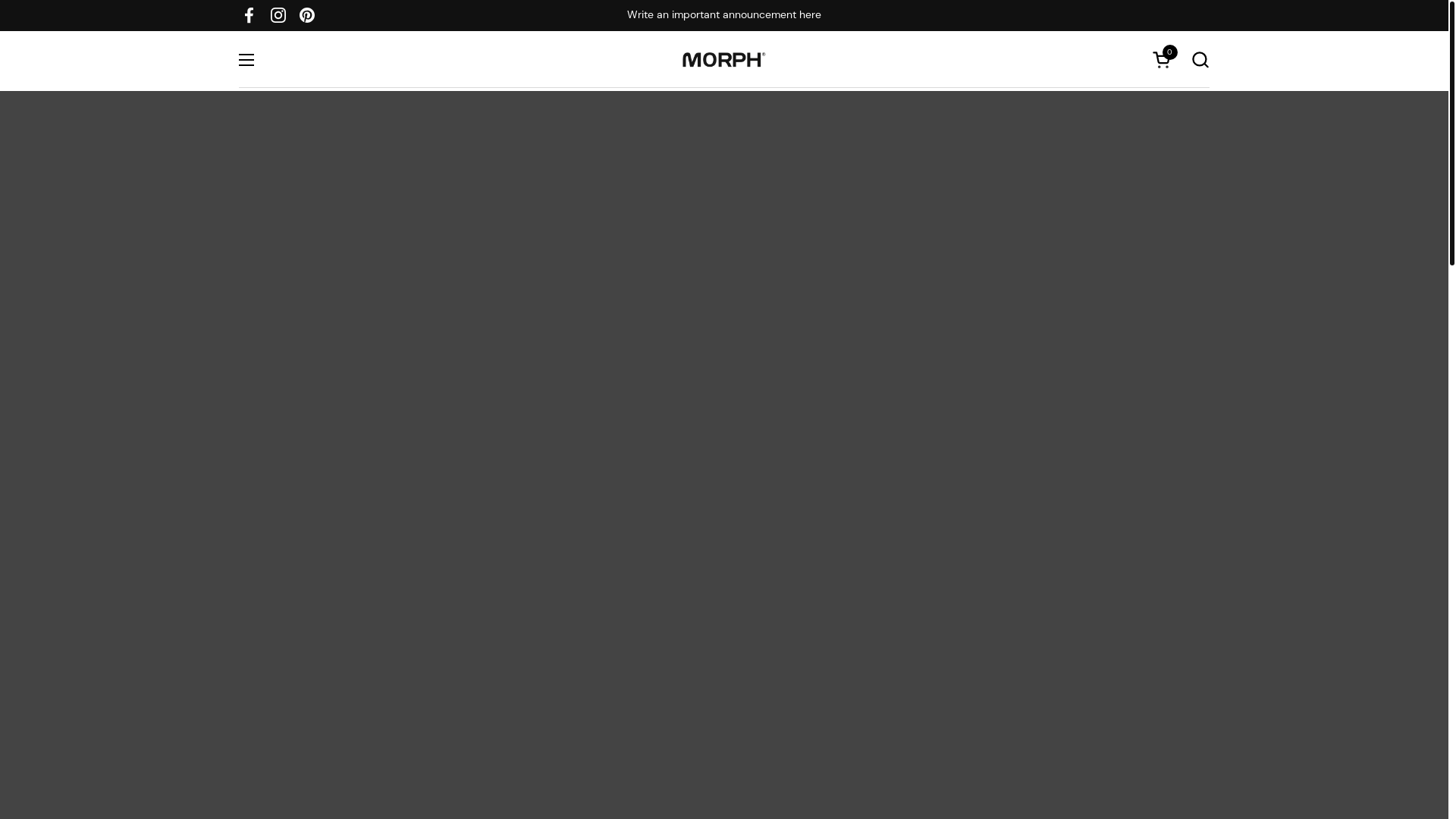 website screenshot of https://morphman.co/