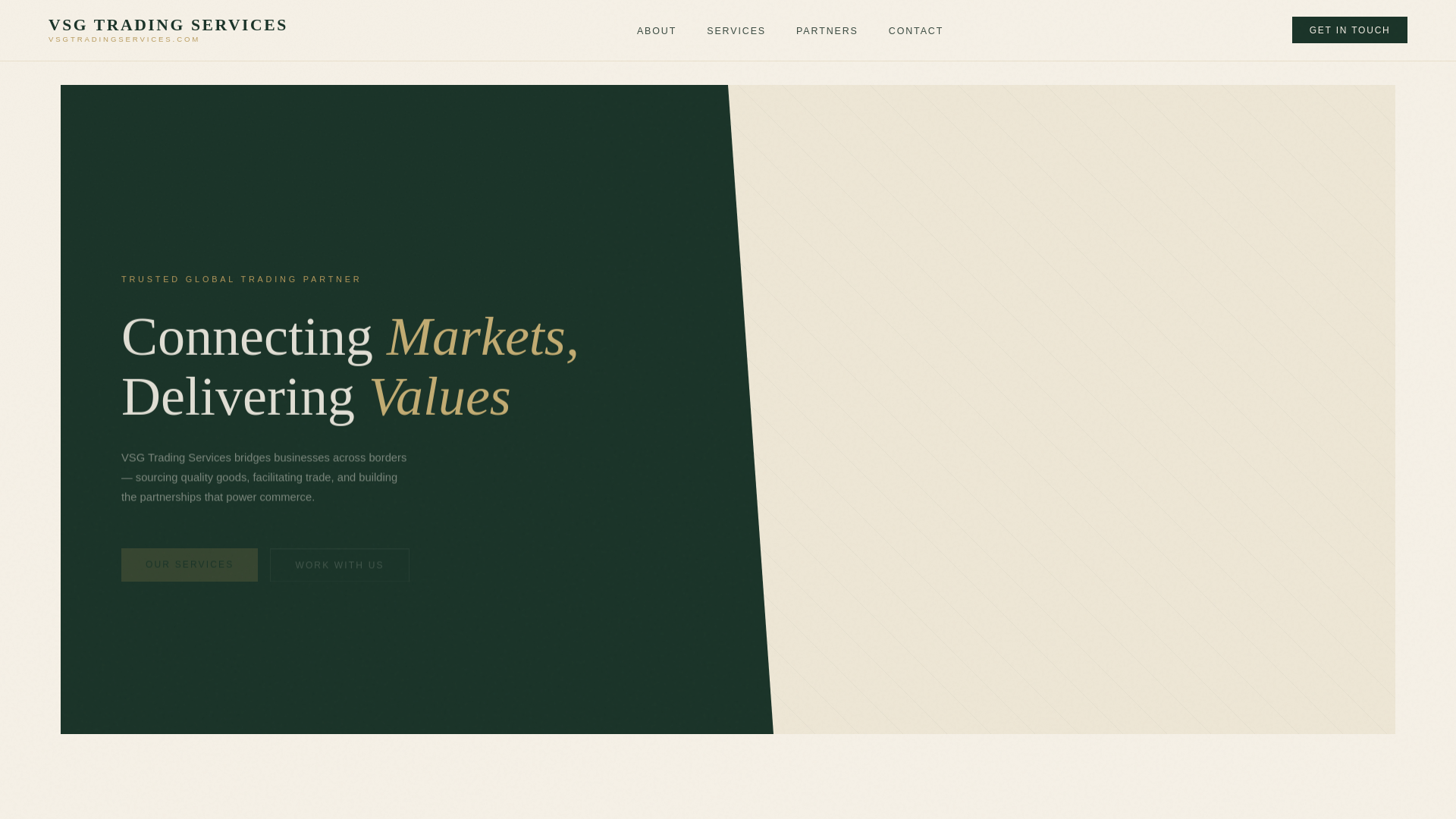 website screenshot of https://vsgtradingservices.com