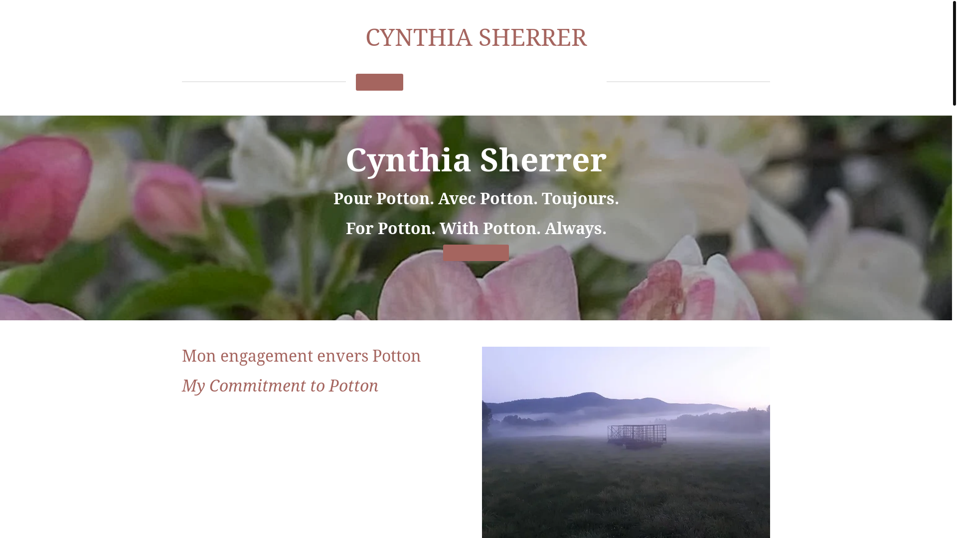 website screenshot of https://cynthiasherrerpotton.com/