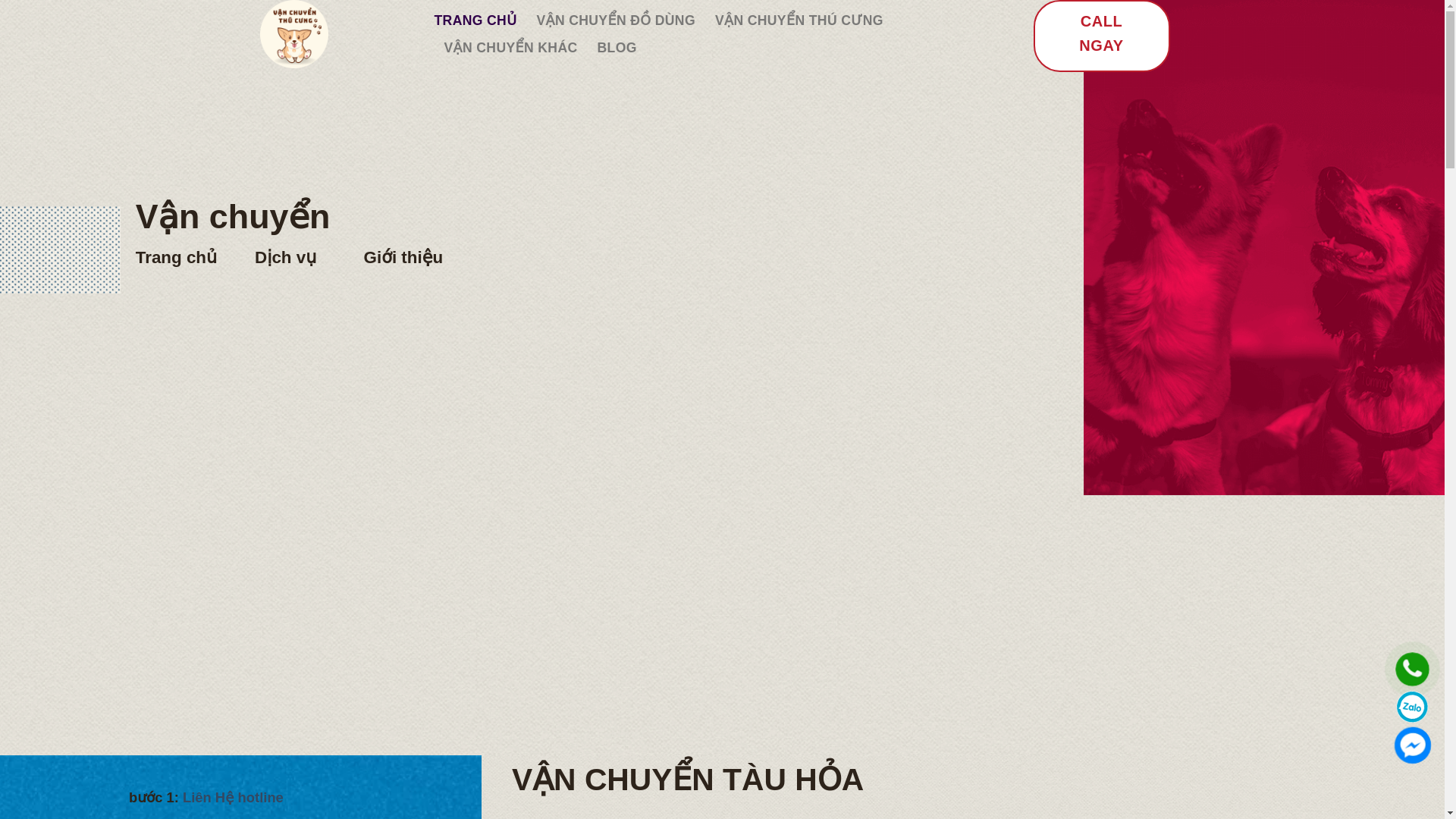 website screenshot of https://vanchuyenthucungshop.vn/