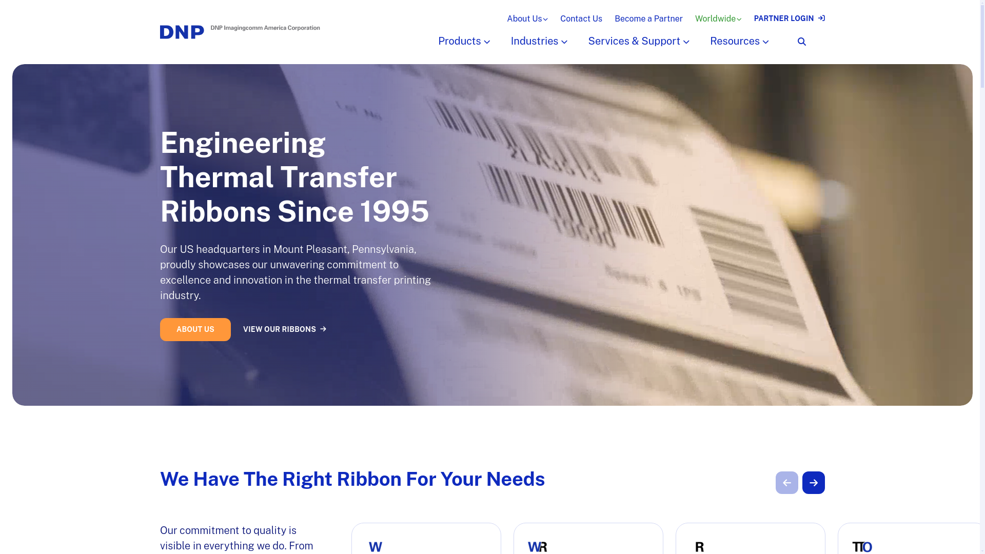 website screenshot of https://am.dnpribbons.com/