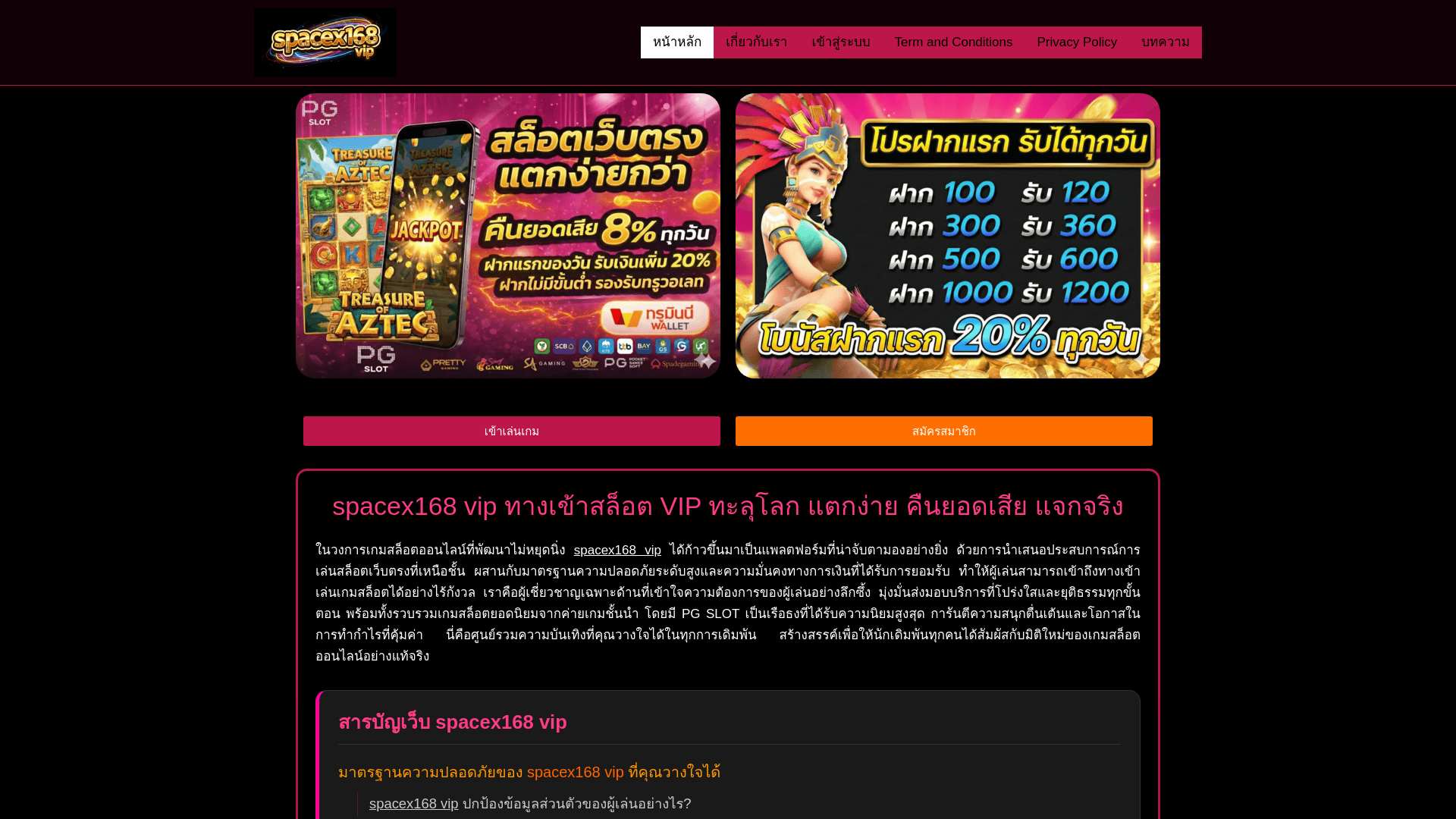 website screenshot of https://spacex168vip.net/