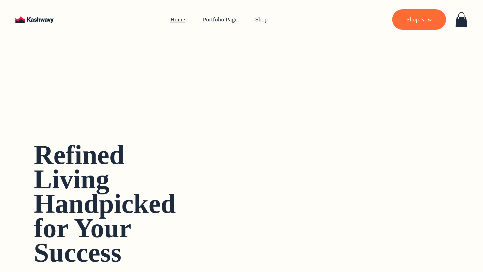 website screenshot of https://kashwavyshop.com/