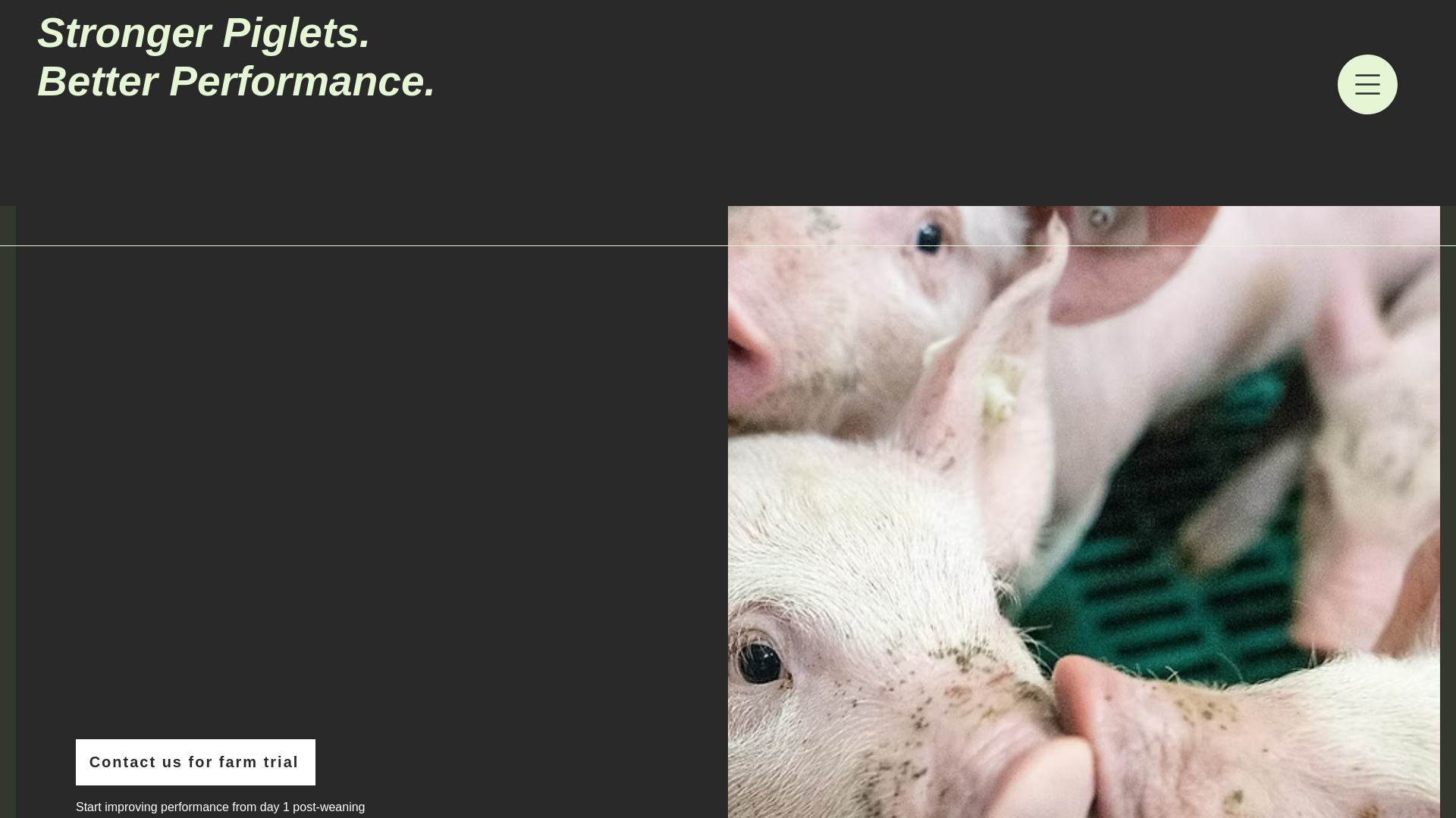 website screenshot of https://danforthvietnam.com