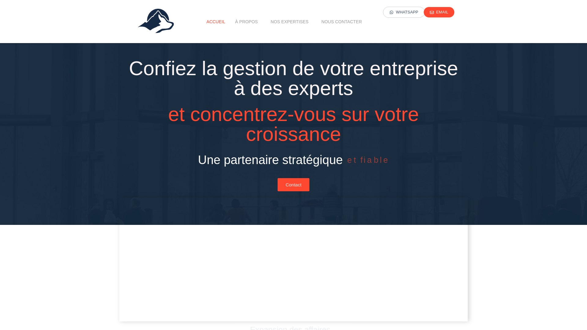 website screenshot of https://levolk-gestion.com/