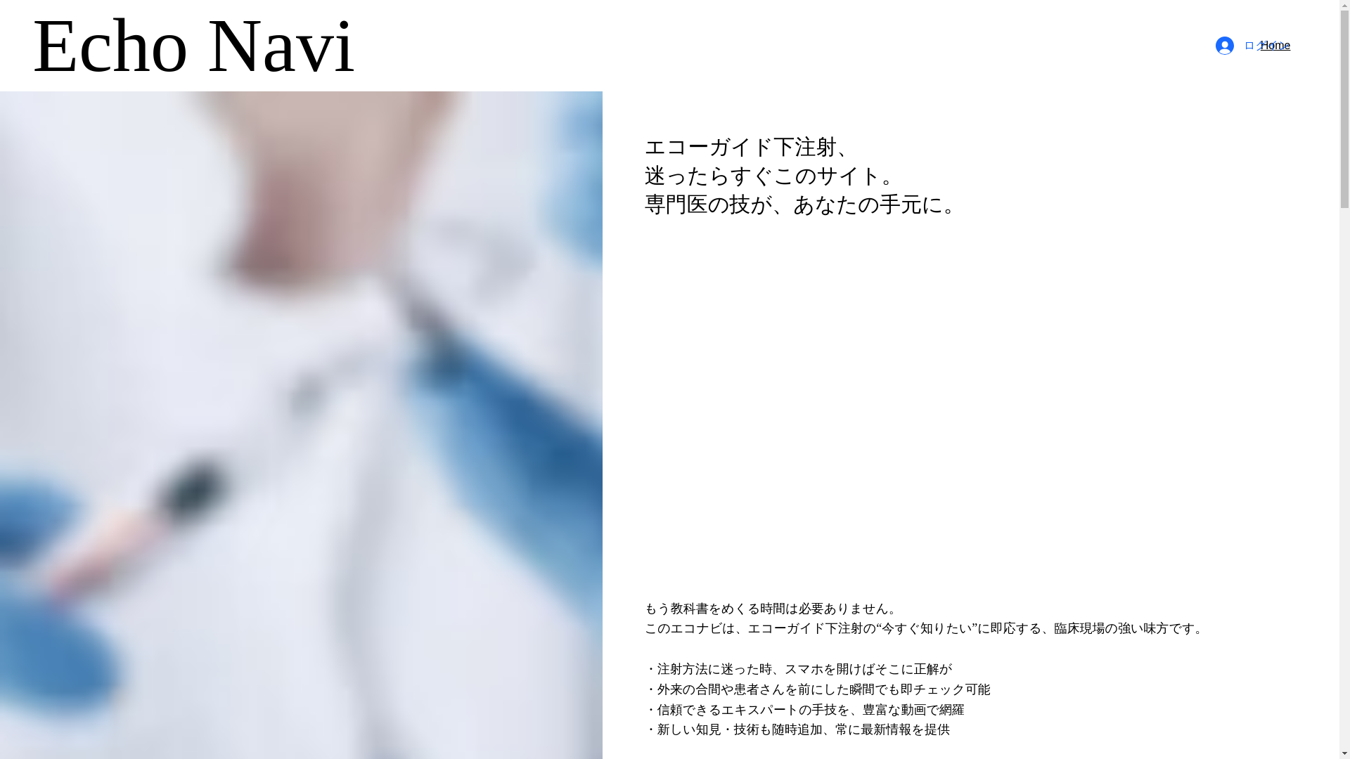 website screenshot of https://echonavi.net/