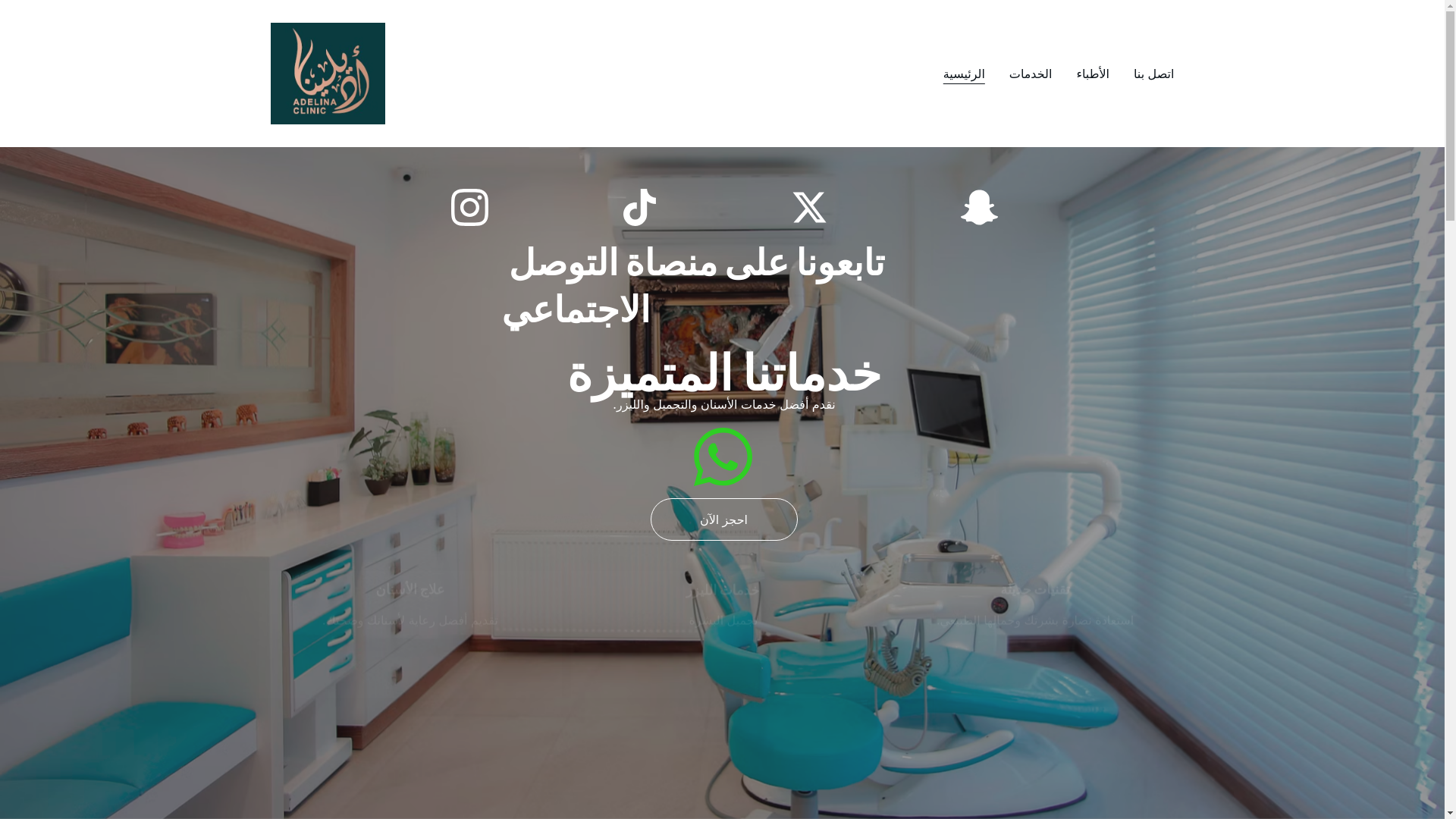 website screenshot of https://adelina.sa/
