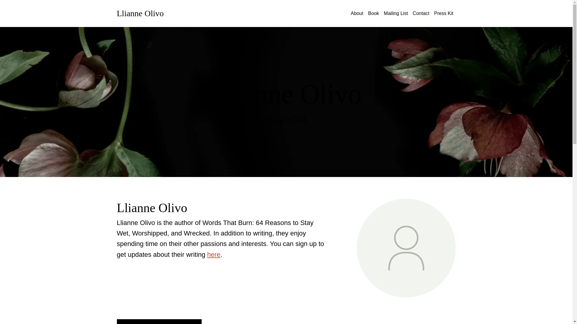 website screenshot of https://llianneolivo.com/