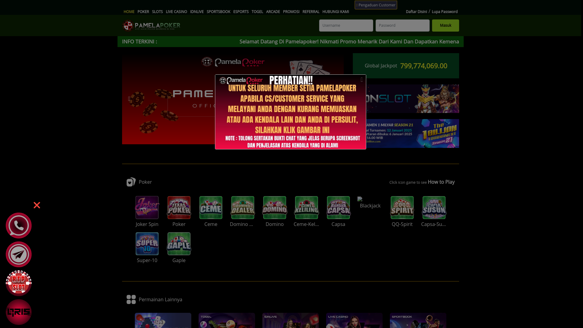 website screenshot of https://pamelap.site/