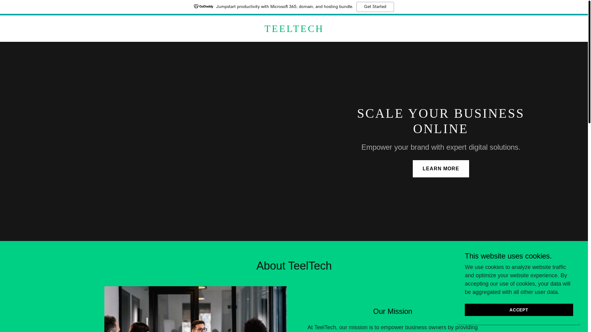 website screenshot of https://teel-tech.com/