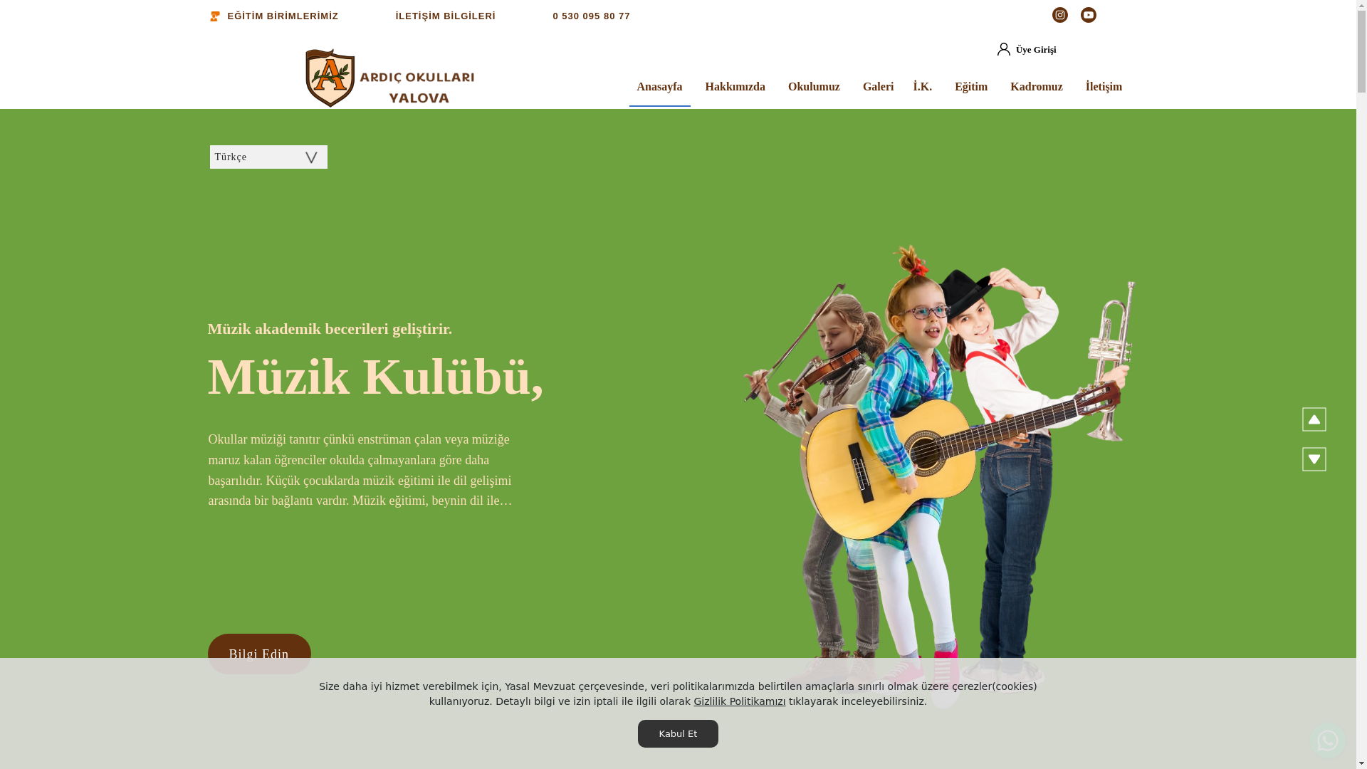 website screenshot of https://ardicokullari.com.tr/
