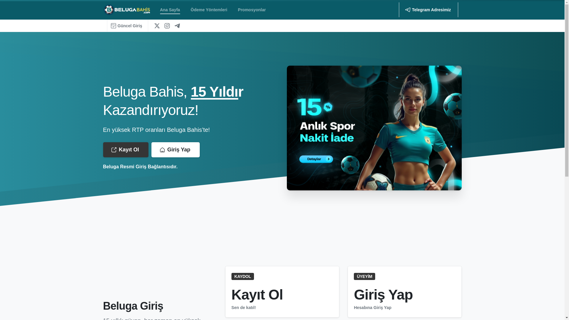 website screenshot of https://ve-amp.com/